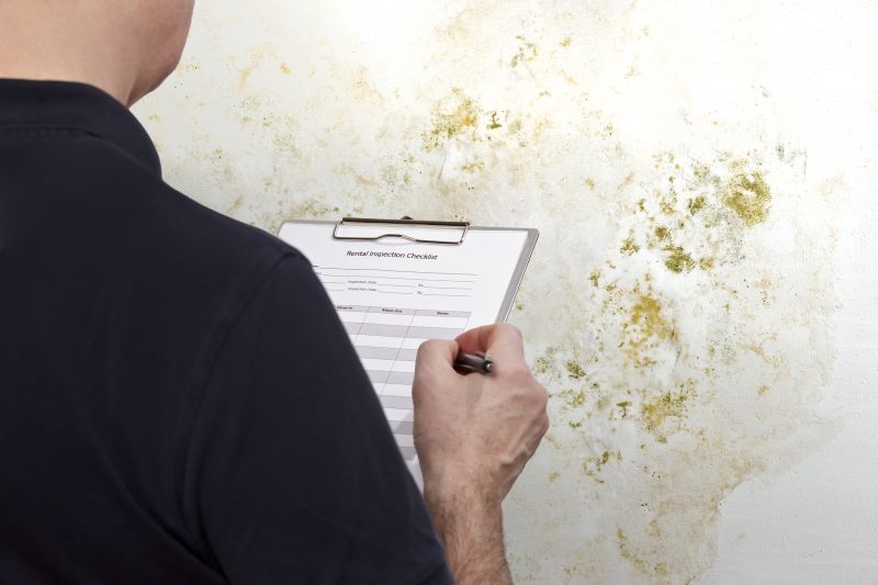 Mold And Asbestos Inspection