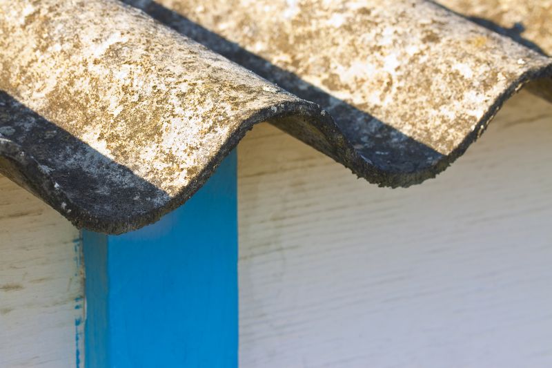 Asbestos Inspection Service in Monmouth County, NJ