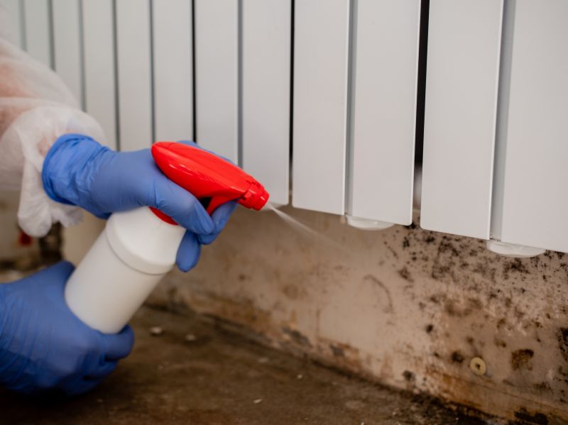 Basement Mold Remediation in West Palm Beach, FL