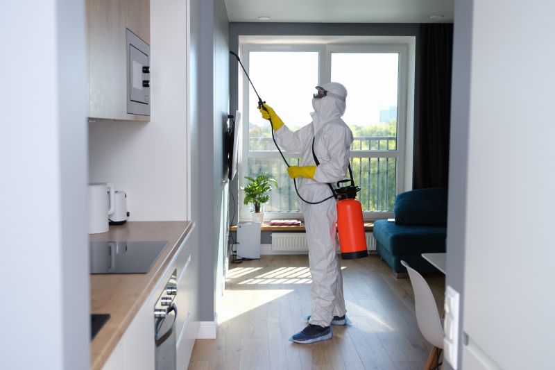 Basement Mold Removal in Broward County, FL