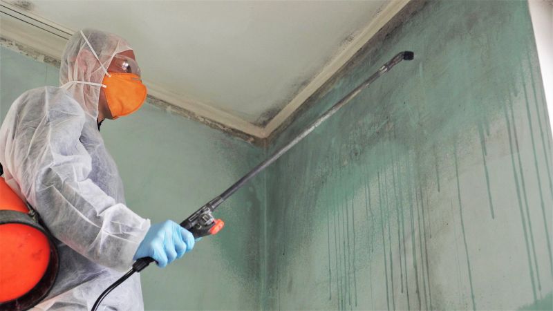 Black Mold Remediation in Broward County, FL