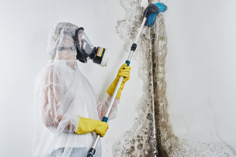 Crawl Space Mold Removal in Frisco, TX