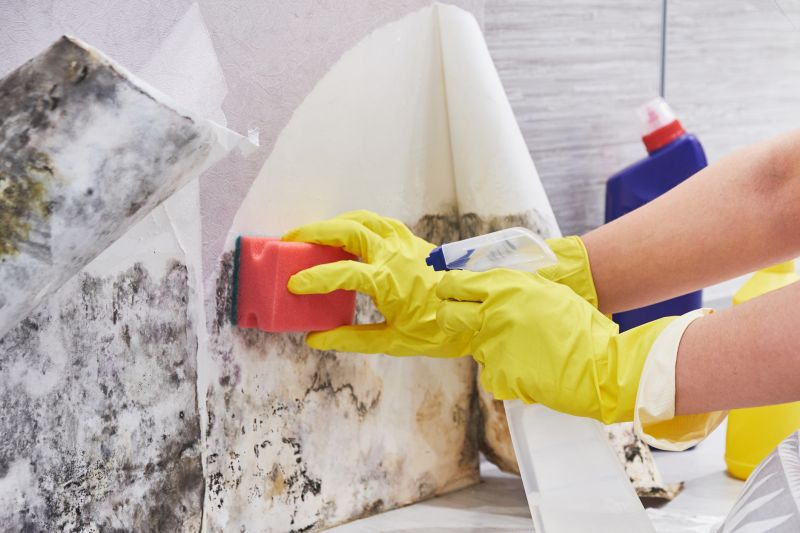 Crawlspace Mold Remediation in Broward County, FL