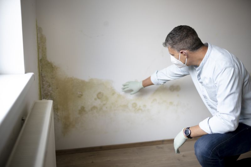 Mold And Asbestos Inspection