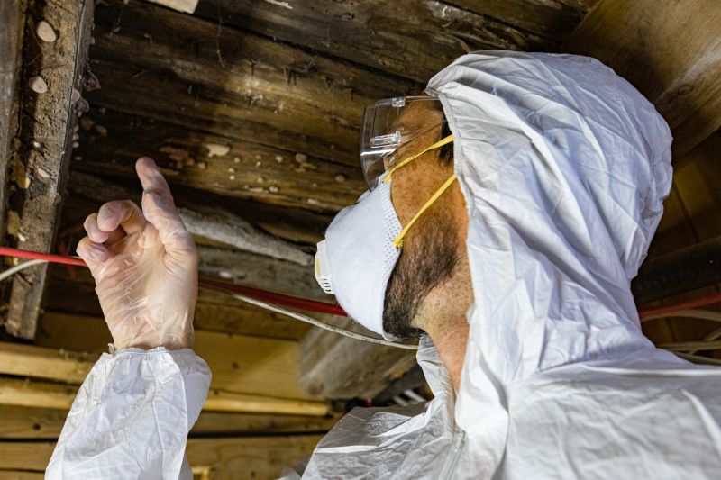 Mold And Asbestos Inspection