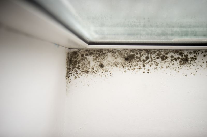 Mold And Asbestos Inspection