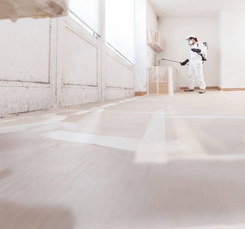 Mold Cleanup Service in West Palm Beach, FL