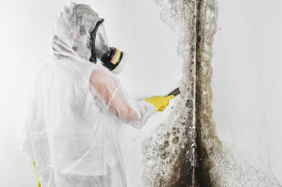 Mold Remediation Service in Bergen County, NJ