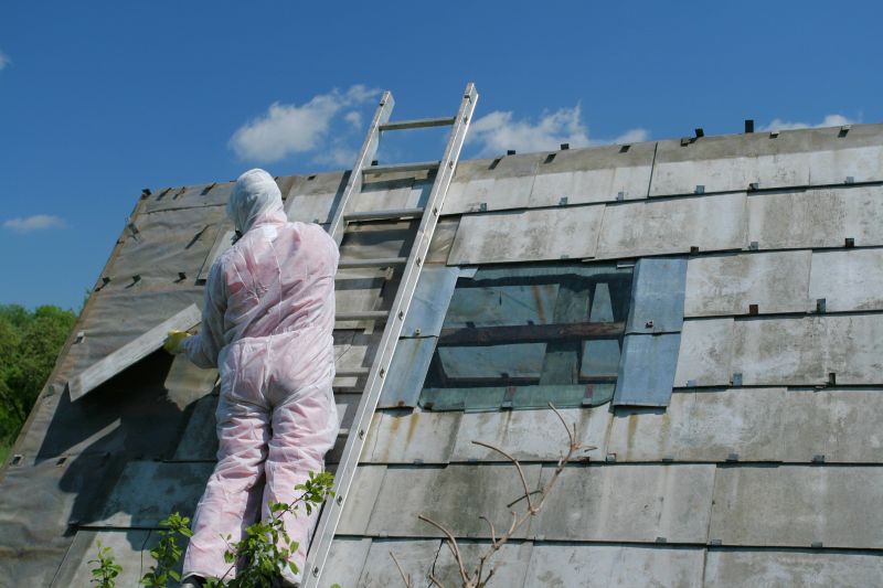 Vermiculite Removal Service in Freehold, NJ