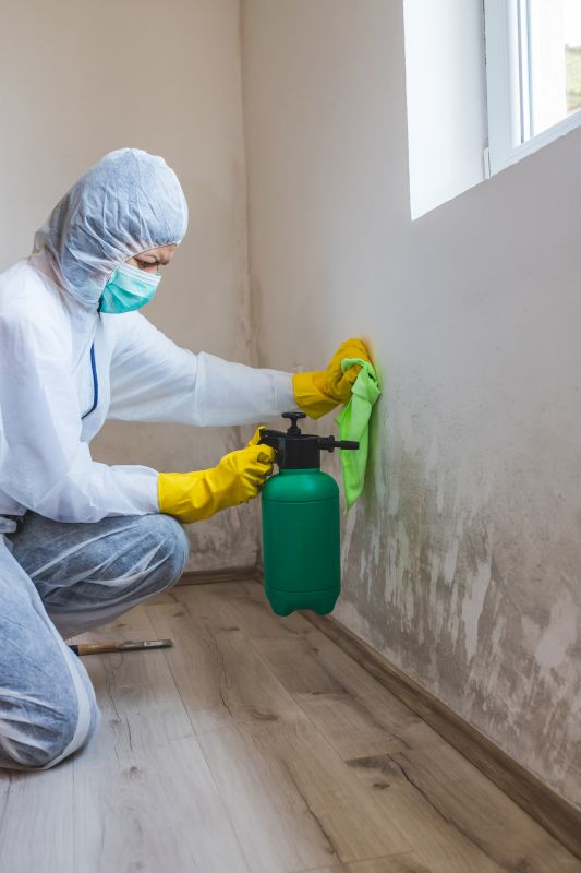 Mold Mitigation Service in Frisco, TX